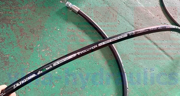 Bấm đầu BSPP cho tuy ô thủy lực Alfagomma 6K Alfabiotech Minetuff