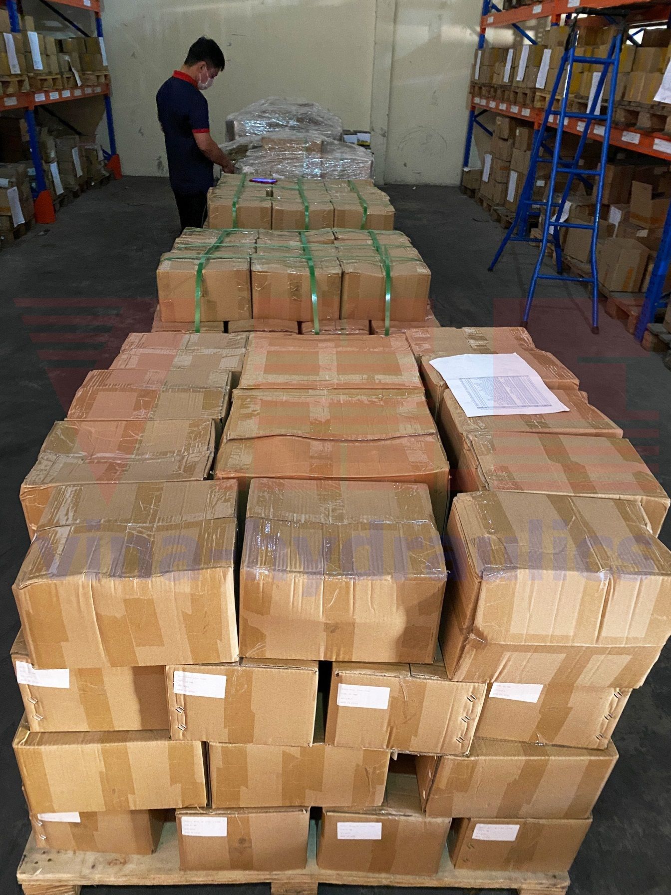 VHE cung cấp các loại Kẹp ống thủy lực