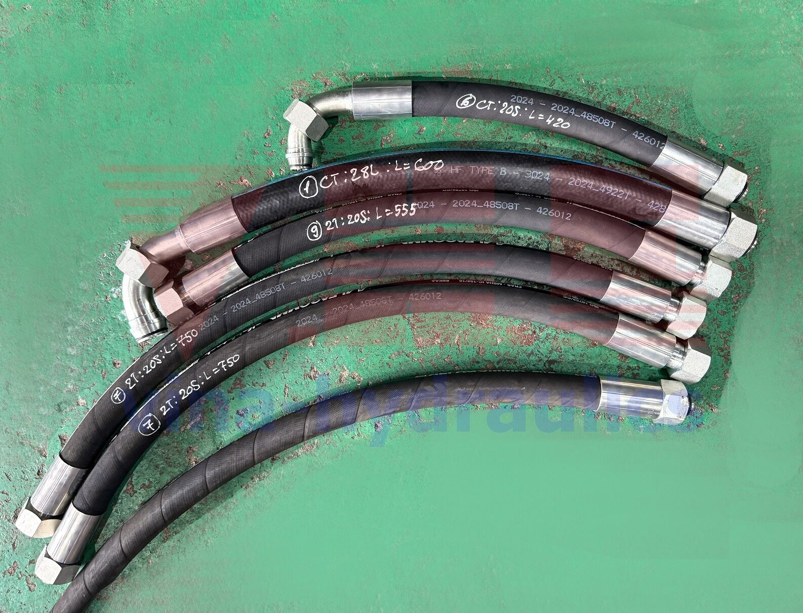Ống thủy lực Minetuff, 6K Alfabiotech bấm đầu DIN
