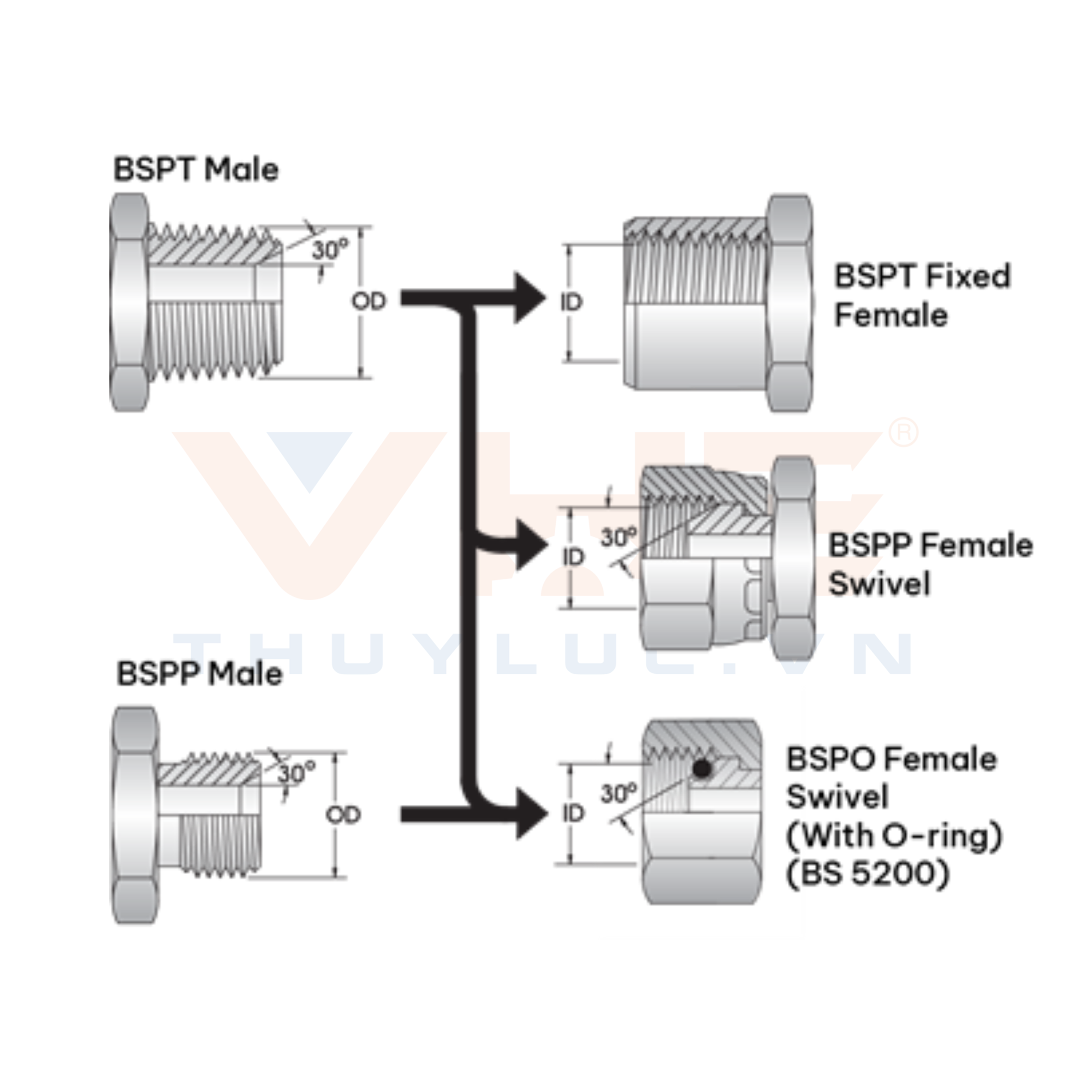 BSPT (British Standard Pipe Tapered) - British Standard